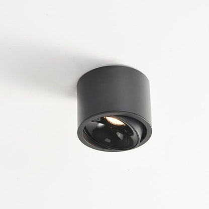 Modern Minimalist Aluminum Round Spotlight Adjustable LED Flush Mount Ceiling Light For Living Room