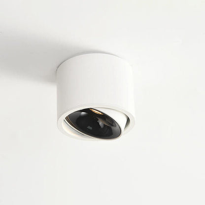 Modern Minimalist Aluminum Round Spotlight Adjustable LED Flush Mount Ceiling Light For Living Room